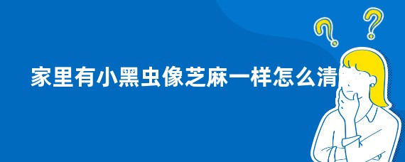 家里有小黑虫像芝麻一样怎么清除