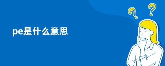 pe是什么意思