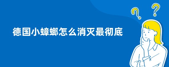 德国小蟑螂怎么消灭最彻底