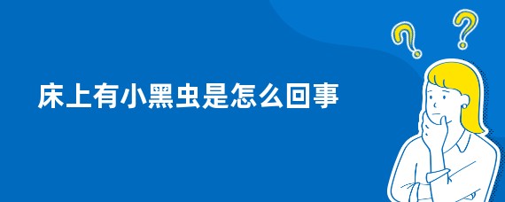 床上有小黑虫是怎么回事