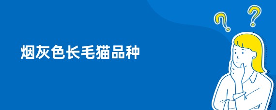 烟灰色长毛猫品种