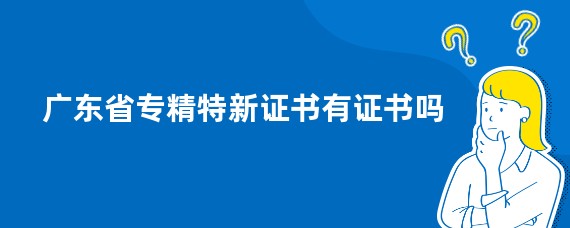 广东省专精特新证书有证书吗