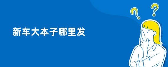 新车大本子哪里发