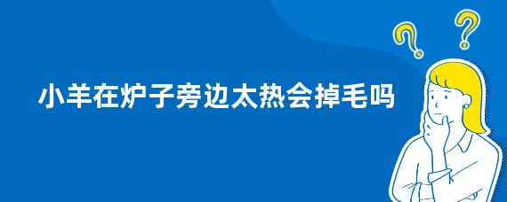 小羊在炉子旁边太热会掉毛吗
