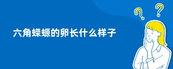 六角蝾螈的卵长什么样子