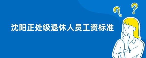 沈阳正处级退休人员工资标准
