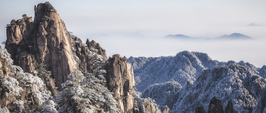 摄图网_500534513_wx_黄山雪松山峦美景（企业商用）.jpg