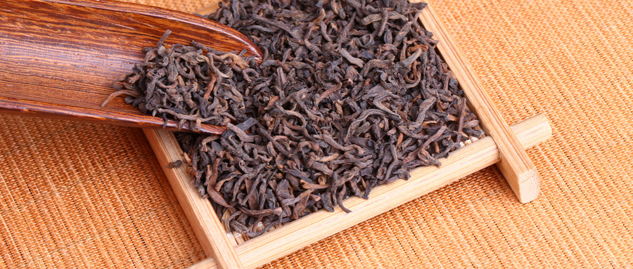 普洱茶主要产地在哪里