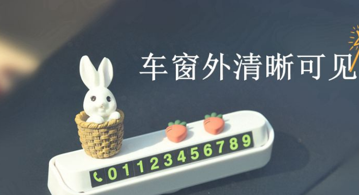萝卜停车生活是干嘛的