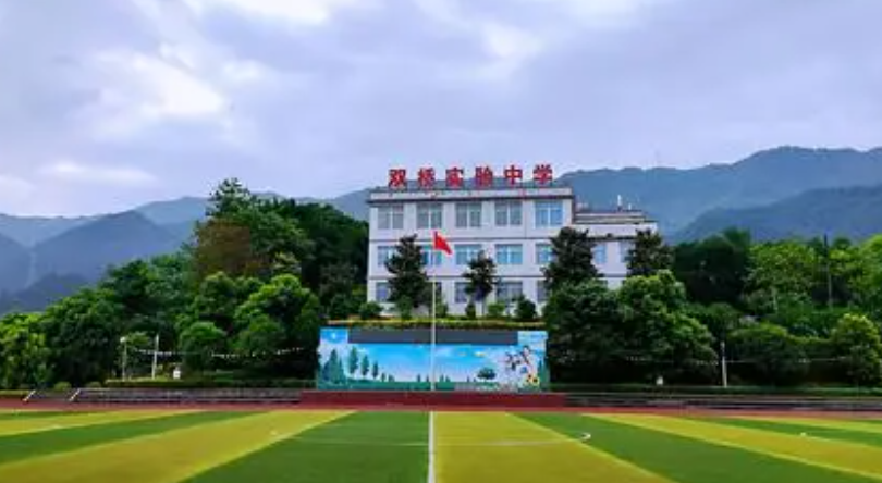 双桥中学大足区排名第几