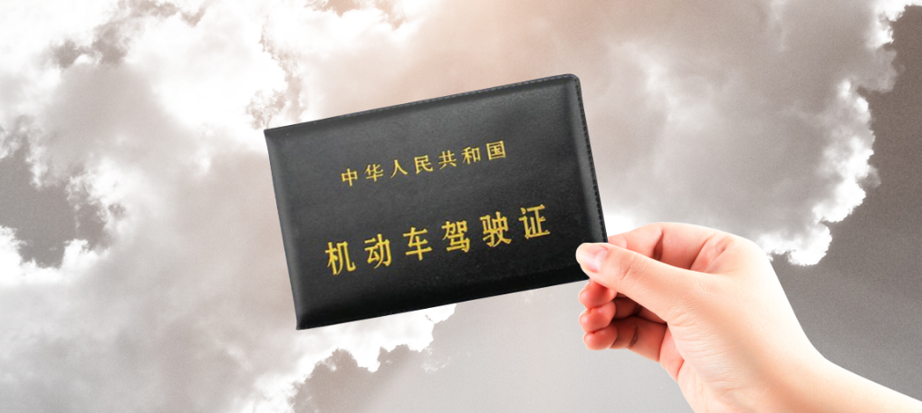 新车大本子哪里发