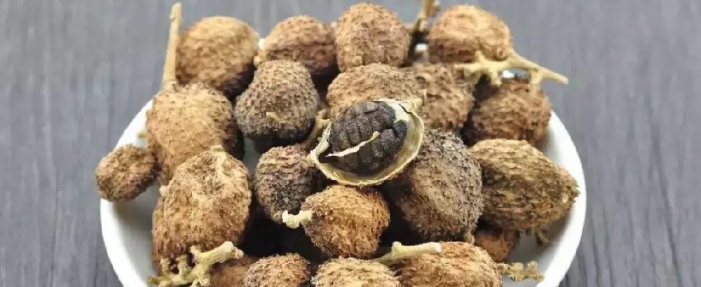 砂仁的功效与作用