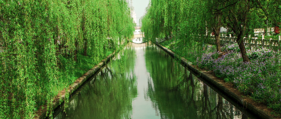 描写春天的古诗