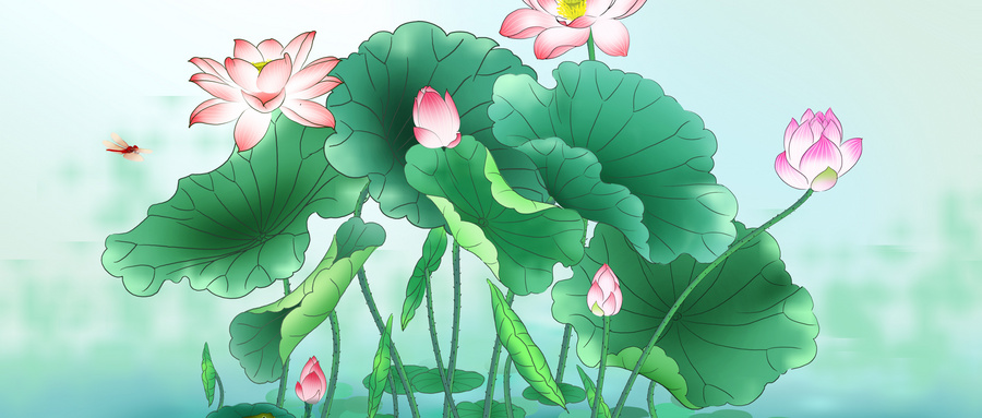 描写荷花的诗句