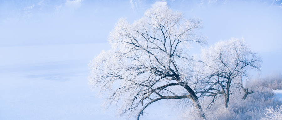 雪是怎么形成的