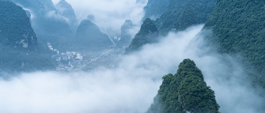 山重水复疑无路