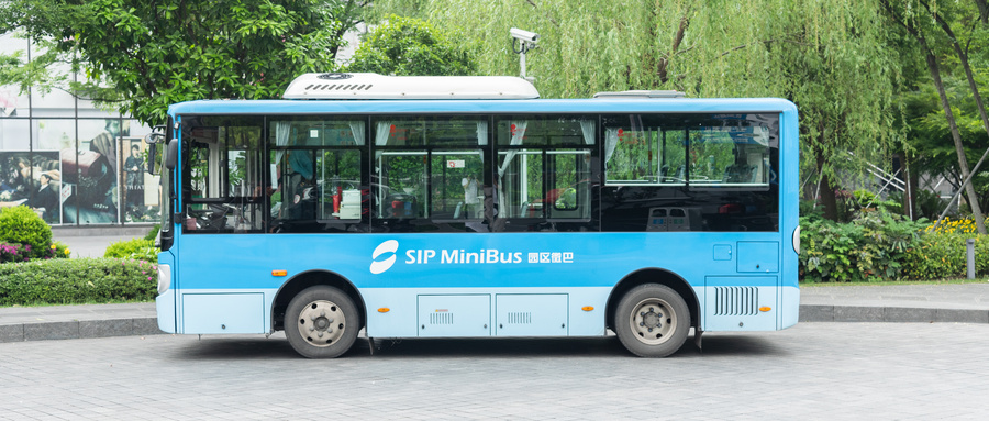 bus的复数形式，即例句