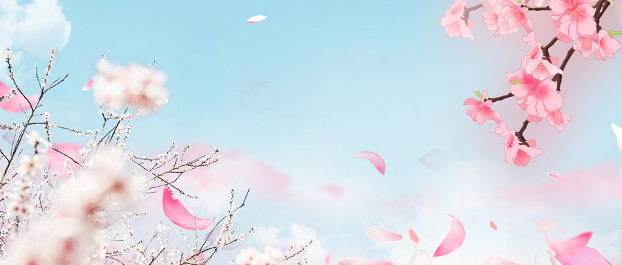 描写春花的诗句，描写春花的古诗