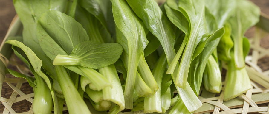 鸡毛菜是什么菜？什么时候适合播种