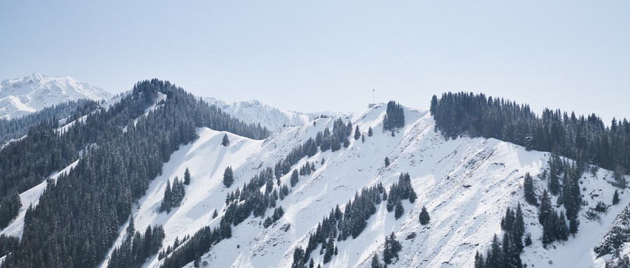 “北风卷地白草折，胡天八月即飞雪”的出处与意思