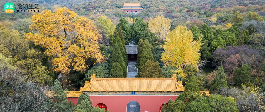 六朝古都是哪里？南京为何称作六朝古都