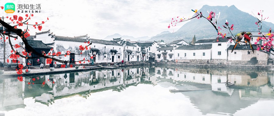 山外青山楼外楼下一句是什么？全诗什么意思
