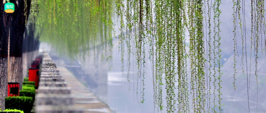 “东边日出西边雨”的出处与意思
