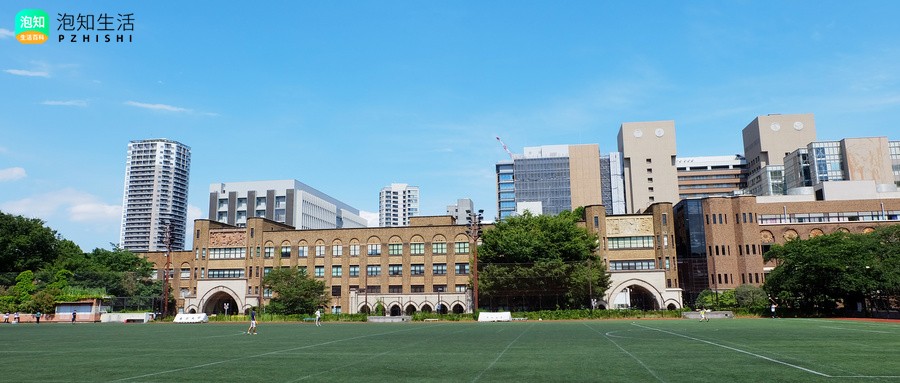 温州肯恩大学学生为啥这么少