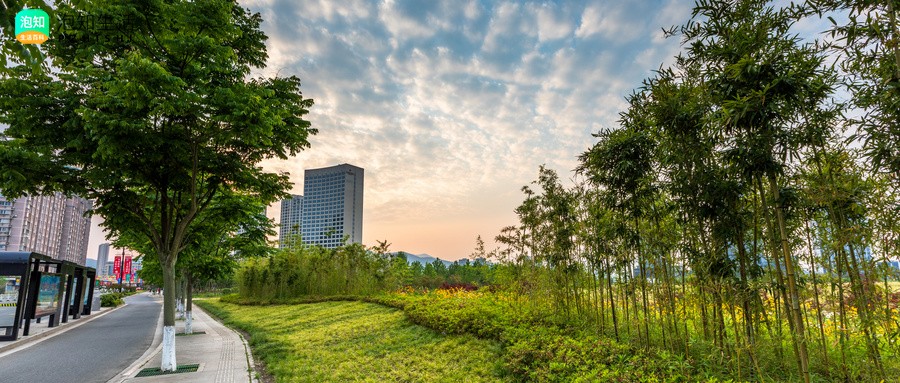 宁海金宸台为什么不好
