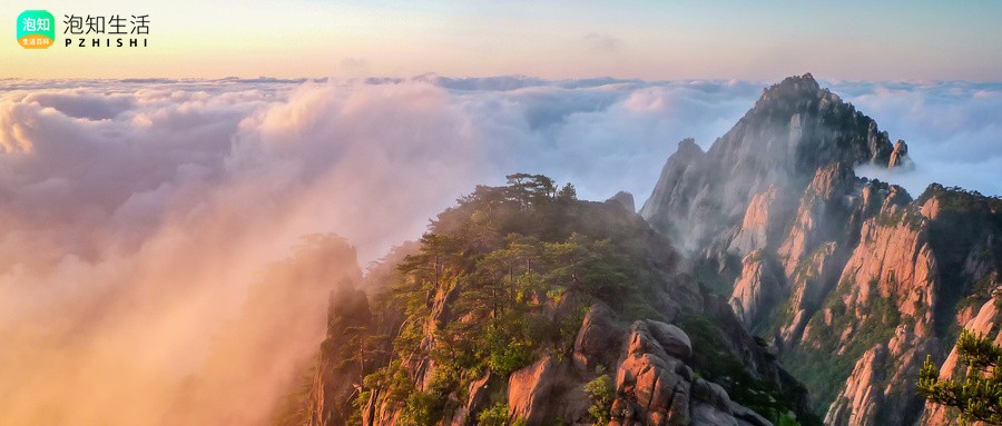 如果一个私人景区借钱打造景区如果景区倒闭还能要回钱吗