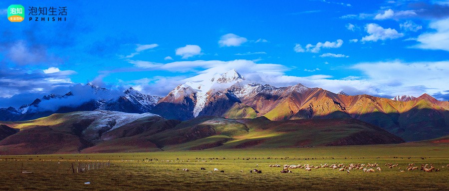 惠山嘉州洋房什么时间建设的