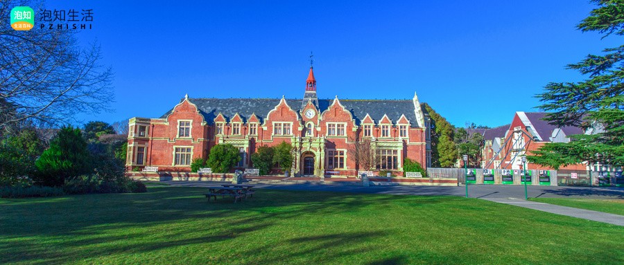 新西兰大学转阿姆斯特丹大学要求
