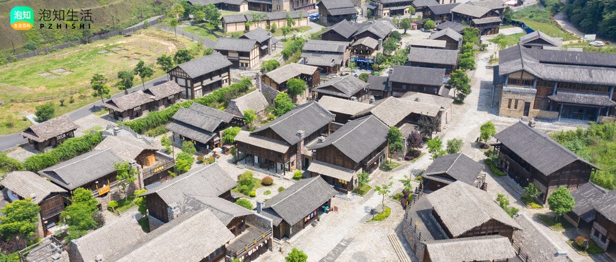 新蒲新区第一小学属于哪个社区