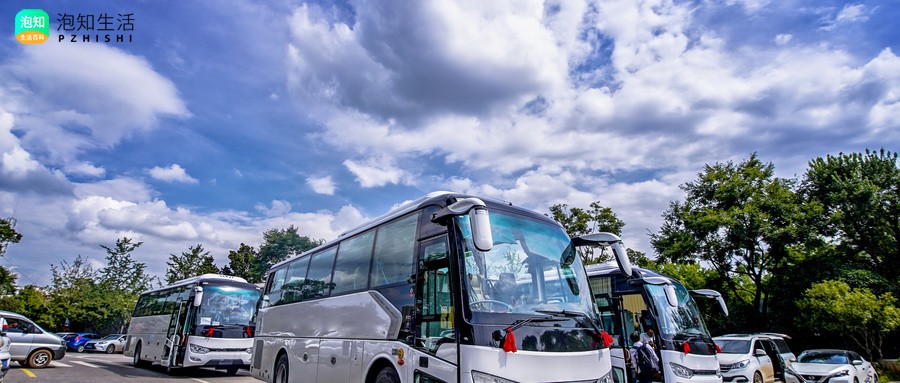 17座考斯特为什么是三型车