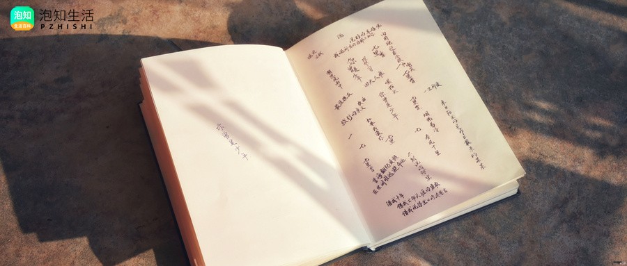 歌词这将是我为你献身之日什么歌