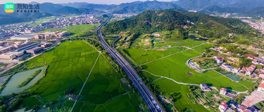 白庙镇姚集哪地方热闹