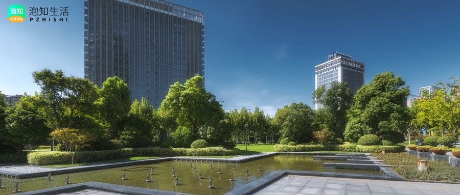 盛龙广场8号地什么时候建成