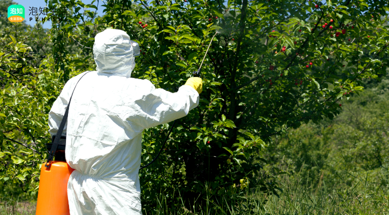 腈苯唑防治油菜菌核病效果如何