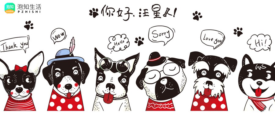 狗对主不离弃打一迷字