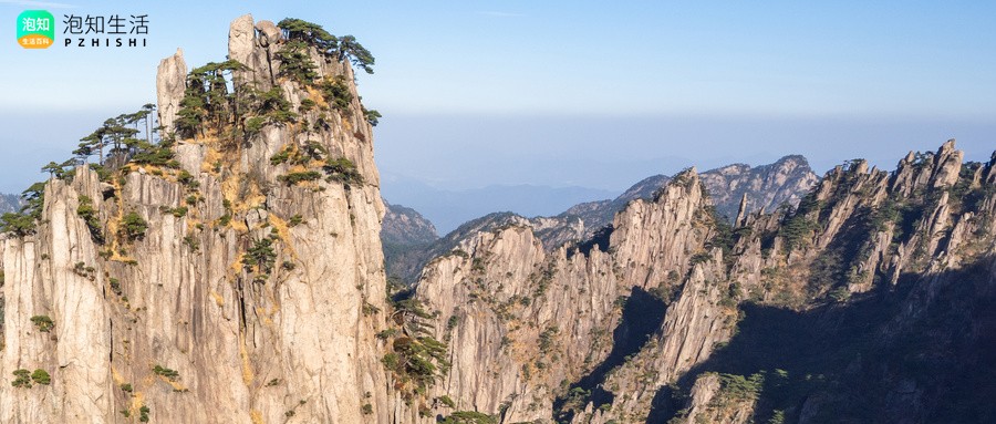 岁物已春,泰山绿日出处