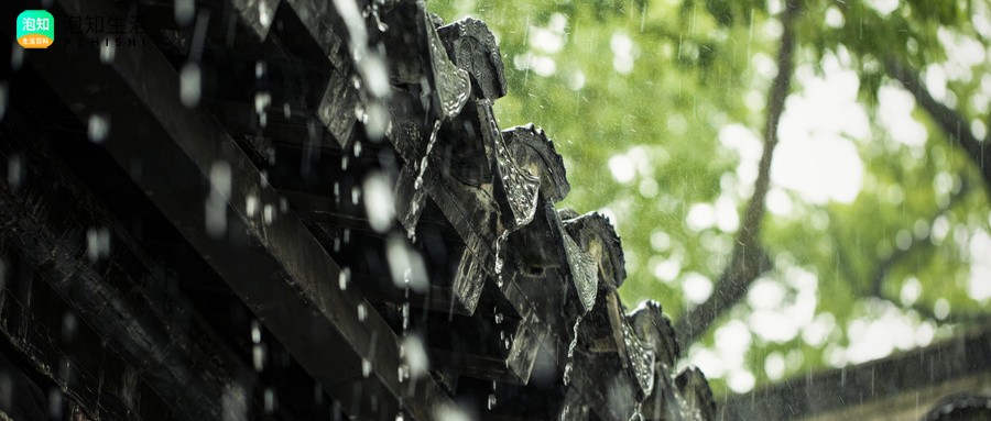 梅雨季节是什么时候？梅雨季节是什么意思