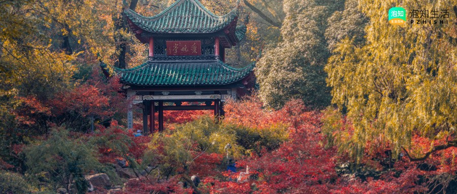 长沙五一广场去火车站多远 