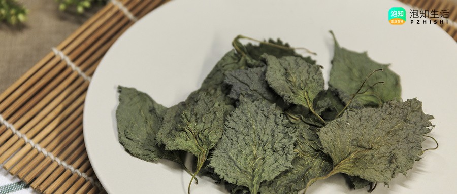 紫苏味道和什么植物味道相似？