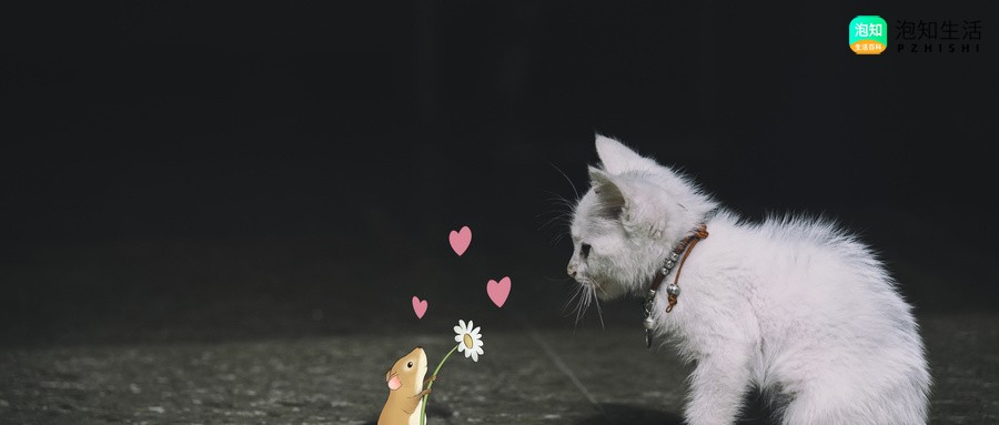 是一岁孩子可以玩猫和老鼠手游