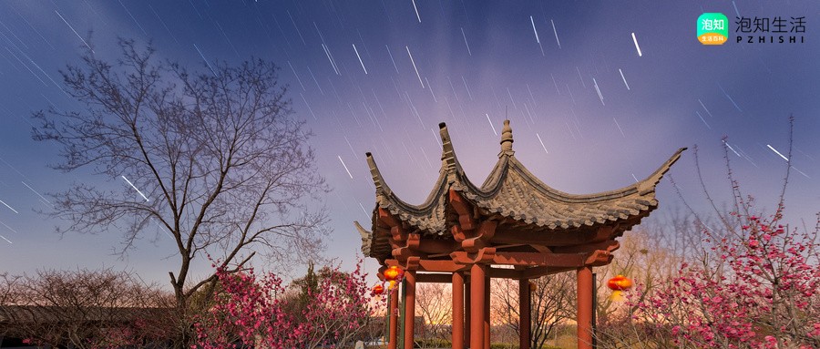 蓝色梅花能活多久