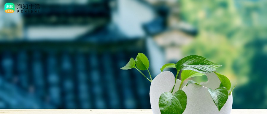 虑杖整根怎样保存？盆景舍利干怎样不腐烂