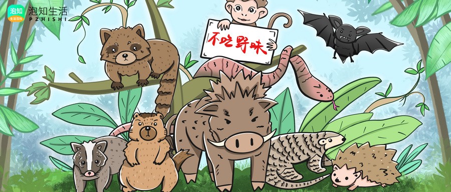 野生动物友好型生活方式运用了什么的说明方法,其作用是?野生动物的共同特点