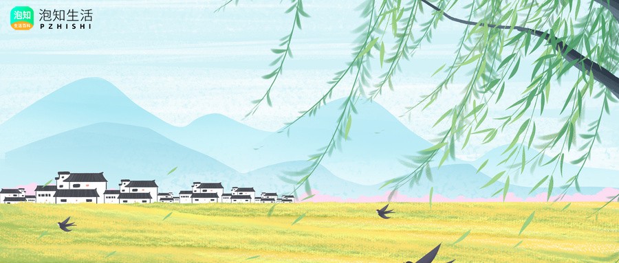 小燕子来家里住好吗？燕子来家里住什么意思