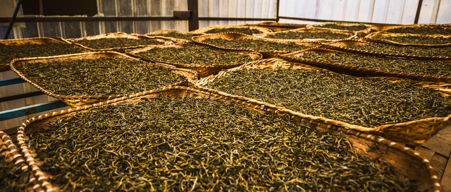 普洱属于什么茶类？普洱生茶和熟茶的区别