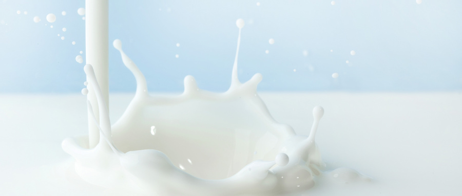 优诺全脂高温杀菌乳是鲜牛奶吗